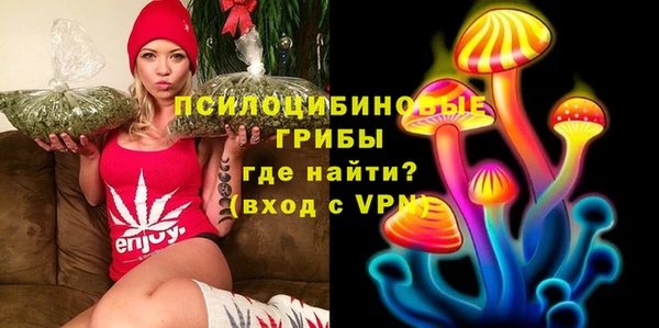 a pvp Вязники